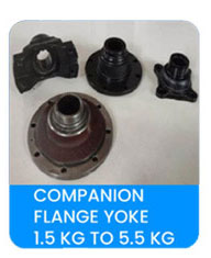 companion flange yoke